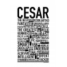 Cesar Poster