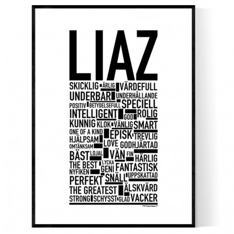 Liaz Poster