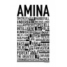 Amina Poster