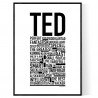 Ted Poster