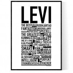 Levi Poster