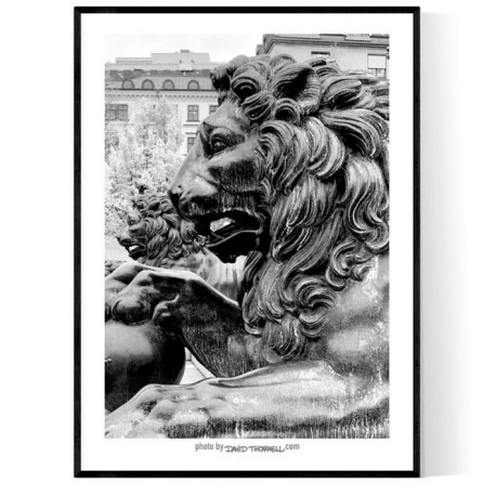 Stockholm Lions Poster