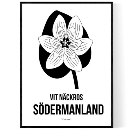 Landskapsblomma Södermanland