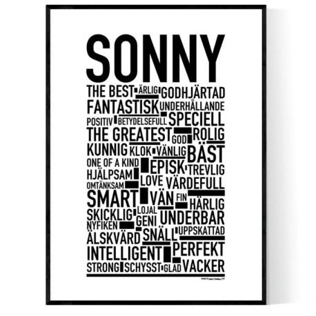 Sonny Poster