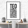 Teo Poster