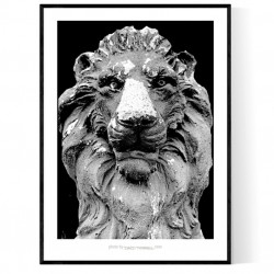 Stone Lion Poster