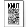 Knut Poster