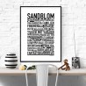Sandblom Poster