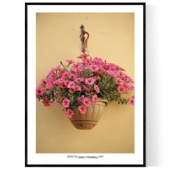 Flower Bucket Poster