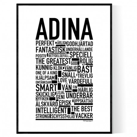 Adina Poster