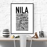 Nila Poster