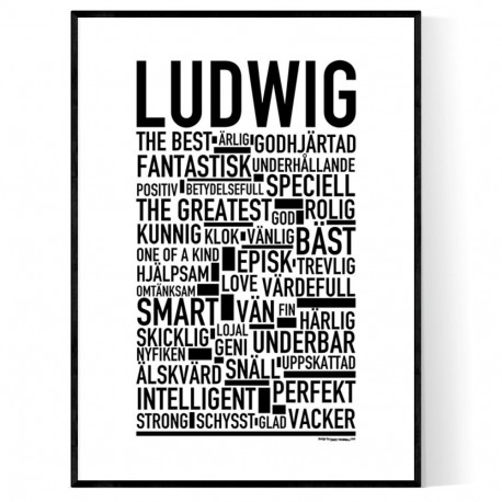 Ludwig Poster