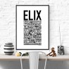 Elix Poster
