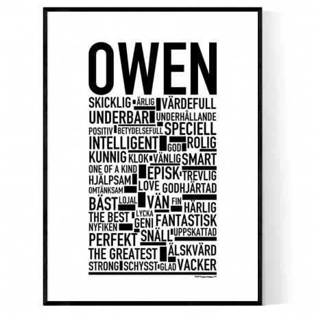 Owen Poster