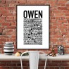 Owen Poster