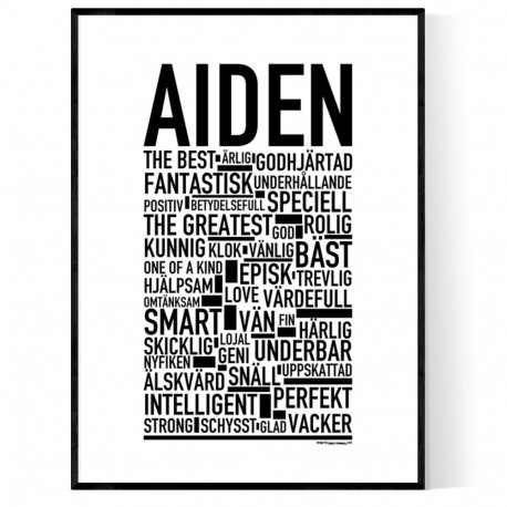 Aiden Poster