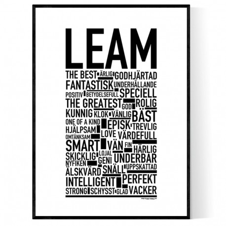 Leam Poster