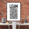 Leam Poster