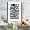Gudmunds Poster 
