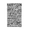 Harrysson Poster 