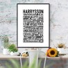Harrysson Poster 
