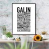 Galin Poster 