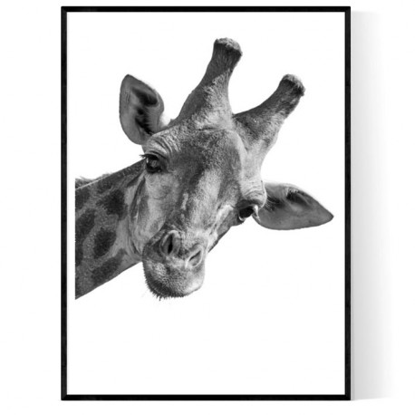 Giraffe King Poster