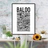Baloo Hundnamn Poster
