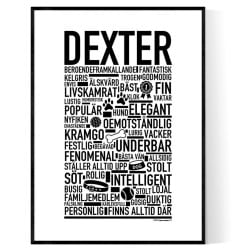 Dexter Hundnamn Poster