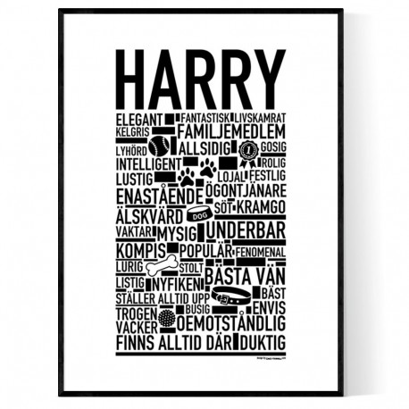 Harry Hundnamn Poster