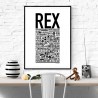Rex Hundnamn Poster