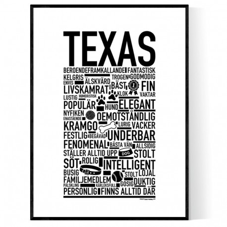 Texas Hundnamn Poster