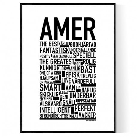 Amer Poster