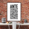 Ante Poster