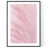 Pink Feathers Poster