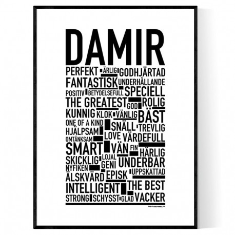 Damir Poster