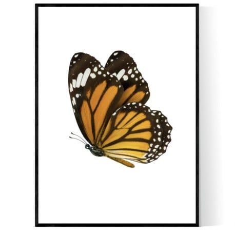 Tiger Butterfly Poster