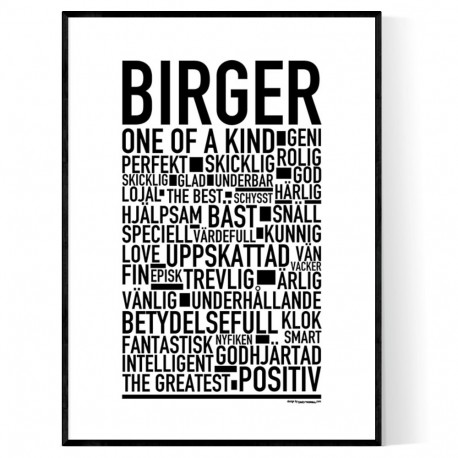 Birger Poster