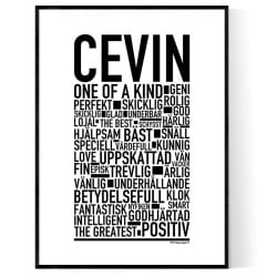 Cevin Poster
