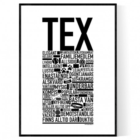 Tex Hundnamn Poster