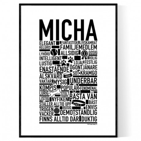 Micha Hundnamn Poster