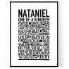Nataniel Poster
