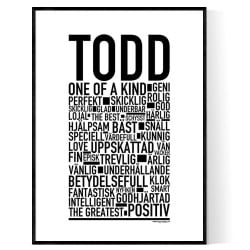 Todd Poster