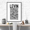 Levin Poster