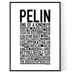 Pelin Poster