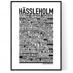 Hässleholm Poster