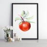 Watercolor Apple Poster
