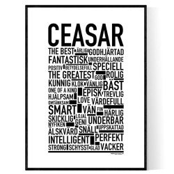 Ceasar Poster