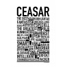 Ceasar Poster