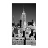 NYC Empire 